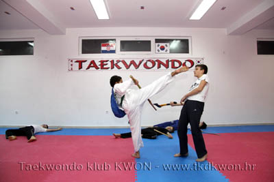 taekwondo kwon training